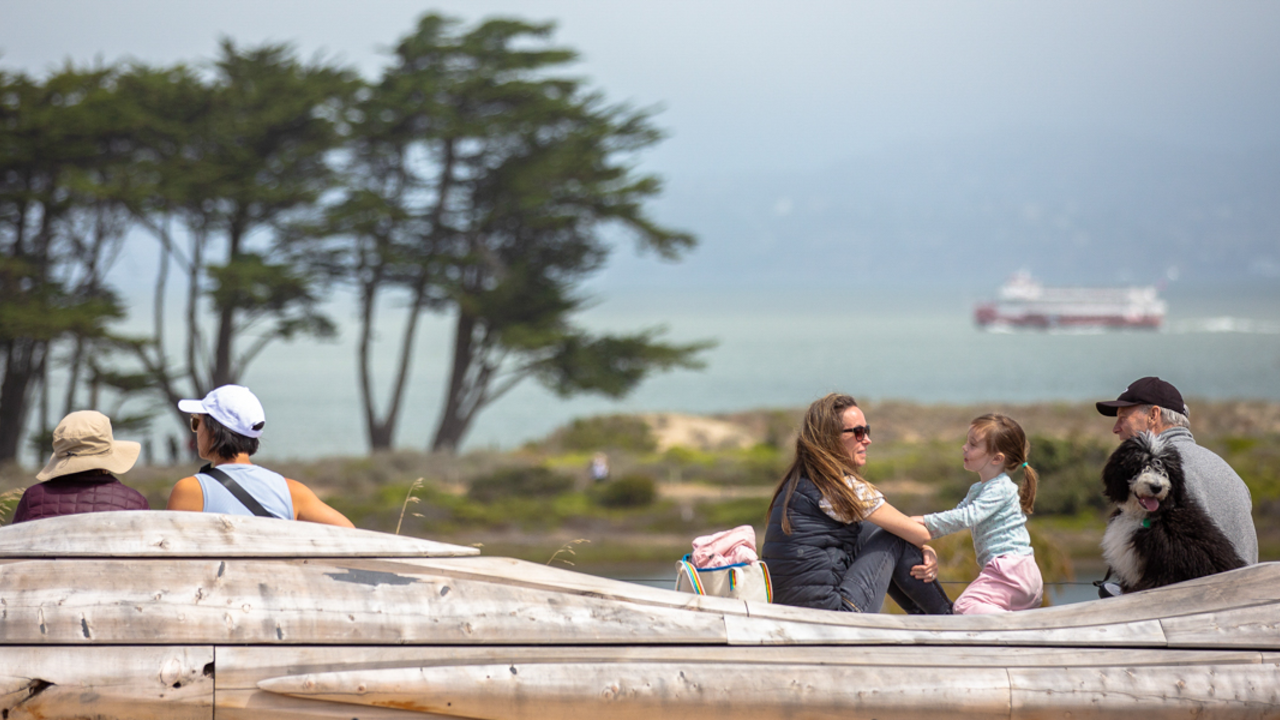 People and dogs lounge on the unique contoured benches of the Presidio Tunnel Tops.