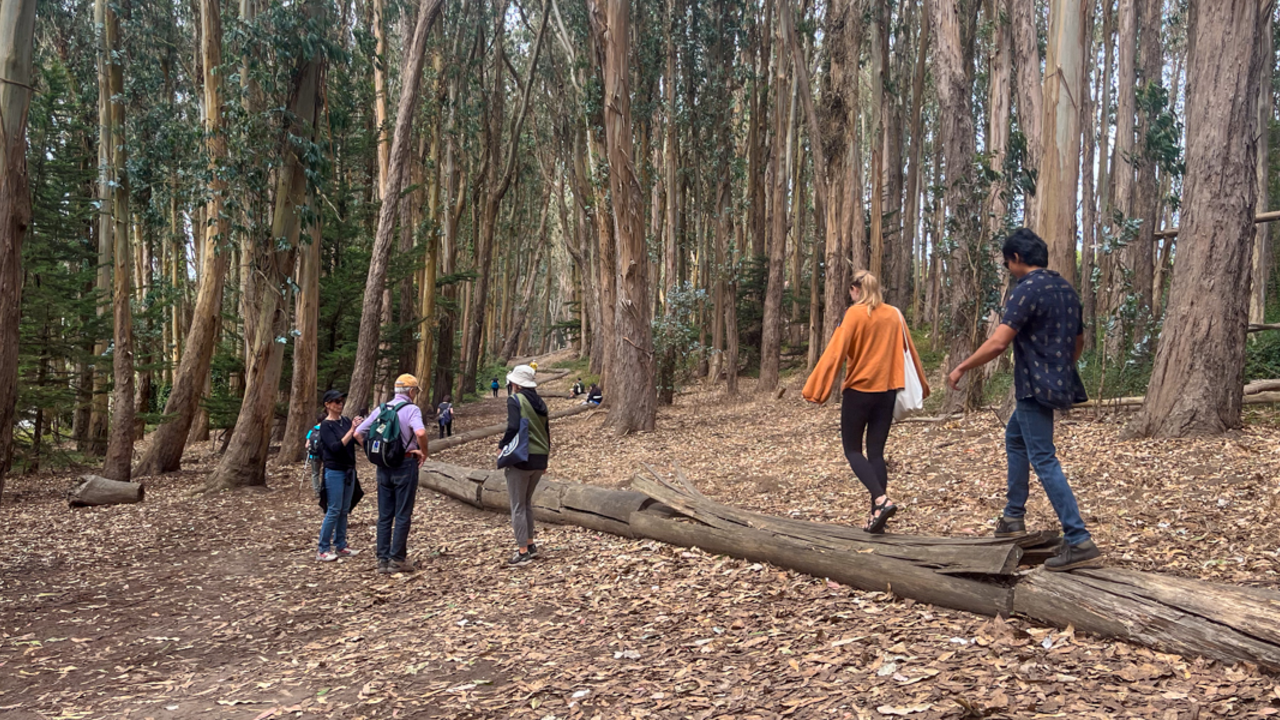 Woodline by Andy Goldsworthy in the Presidio A group of people walking along the Andy Goldsworthy Woodline art installation piece in the Presidio