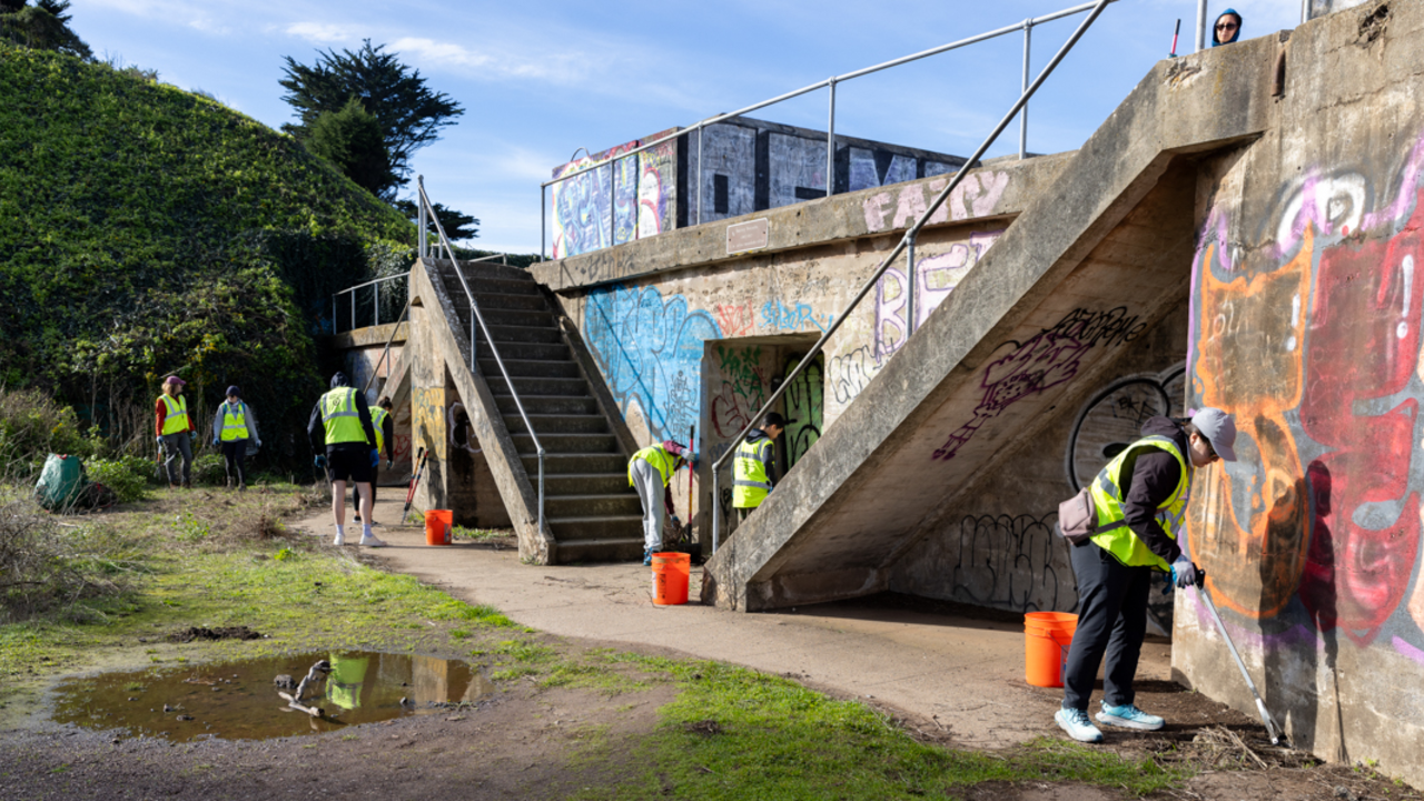 A group of volunteers cleaning up trash around Battery Boutelle in the Presidio
