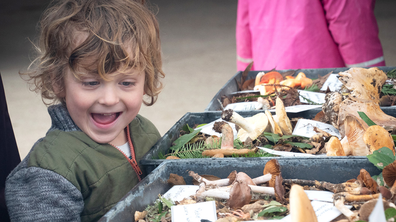 A young person smiling at a Fungi Fair at Presidio Tunnel Tops.