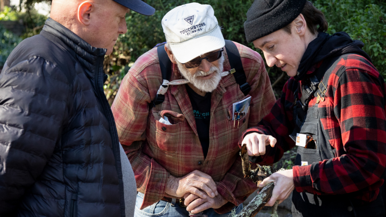 Parks Conservancy staff and Fungi Walk participants studying the lichen found on a branch in the Presidio.