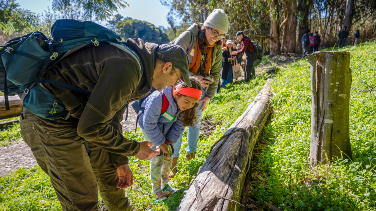 A family leans in to study mushrooms and fungus in the Presidio of San Francisco on a community science hike.