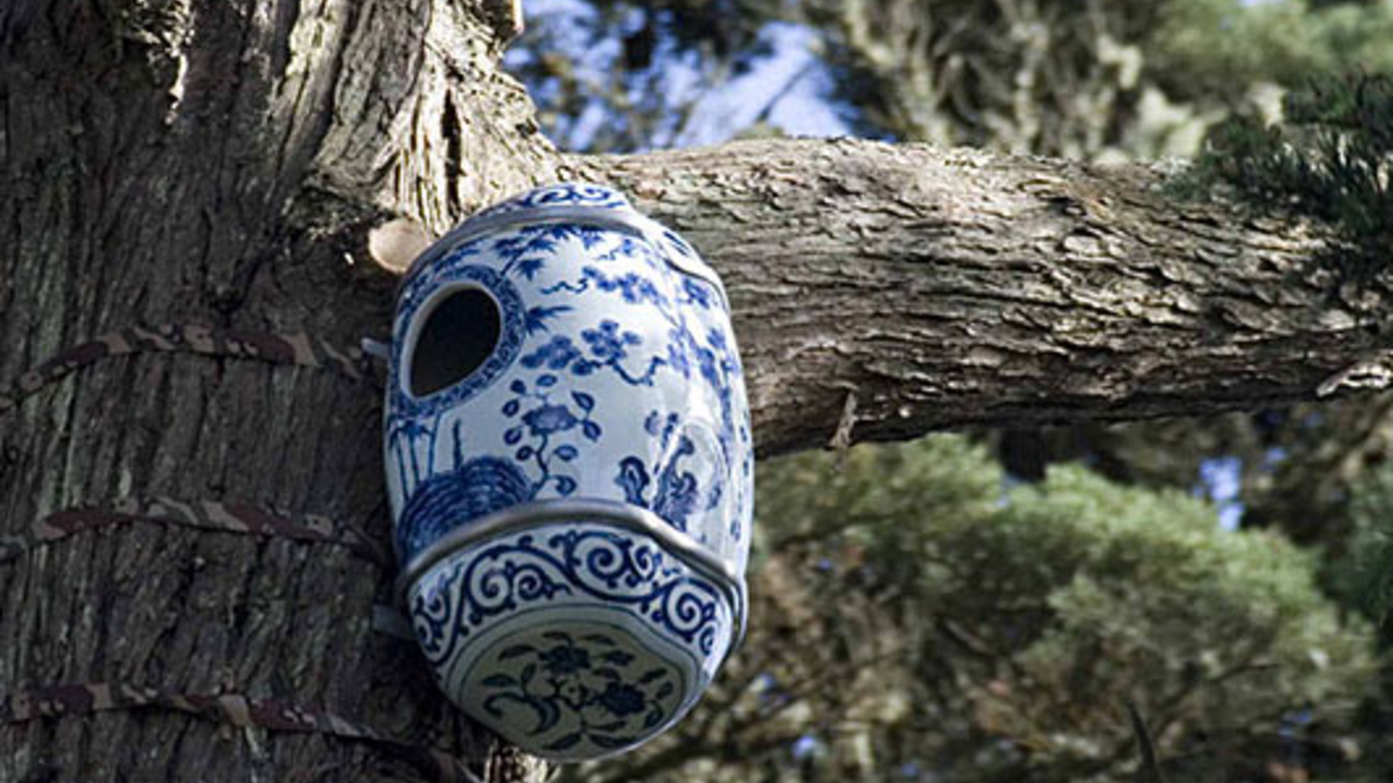 Western Screech Owl Habitats by Ai Weiwei