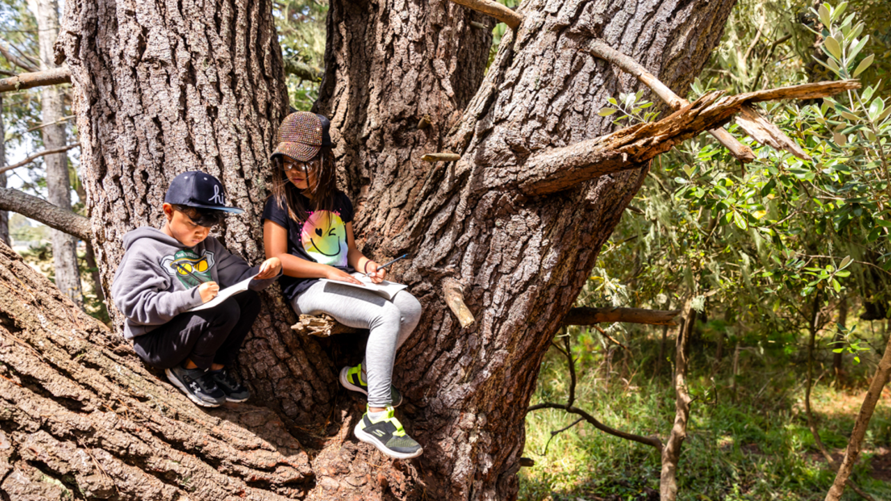 Connecting with parks through nature sketches at Rancho Corral de Tierra Two children sit and sketch nature from a low tree branch in Rancho Coral de Tierra