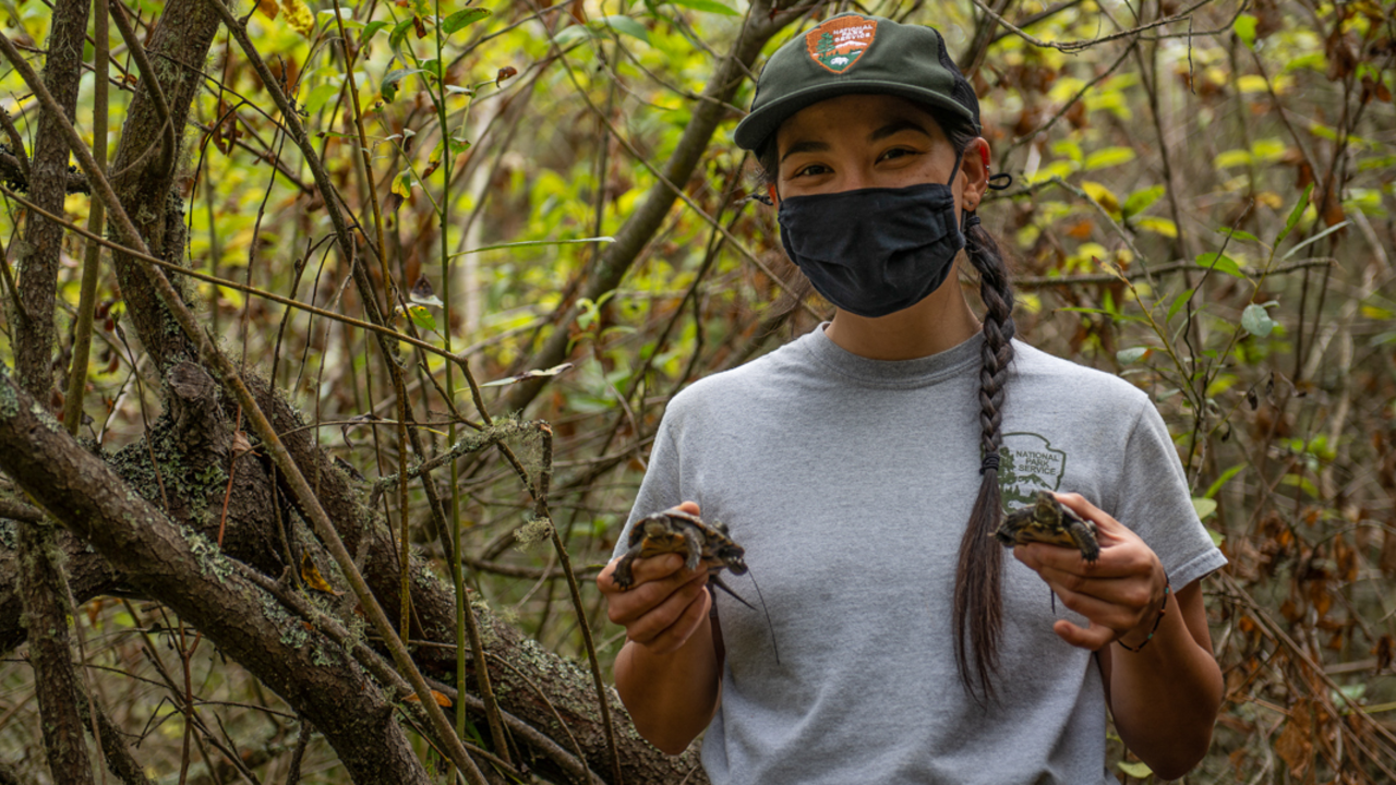 Western Pond Turtle release at Rodeo Lagoon National Park Service worker with a face mask poses for a photograph during the western pond turtle release at Rodeo Lagoon.