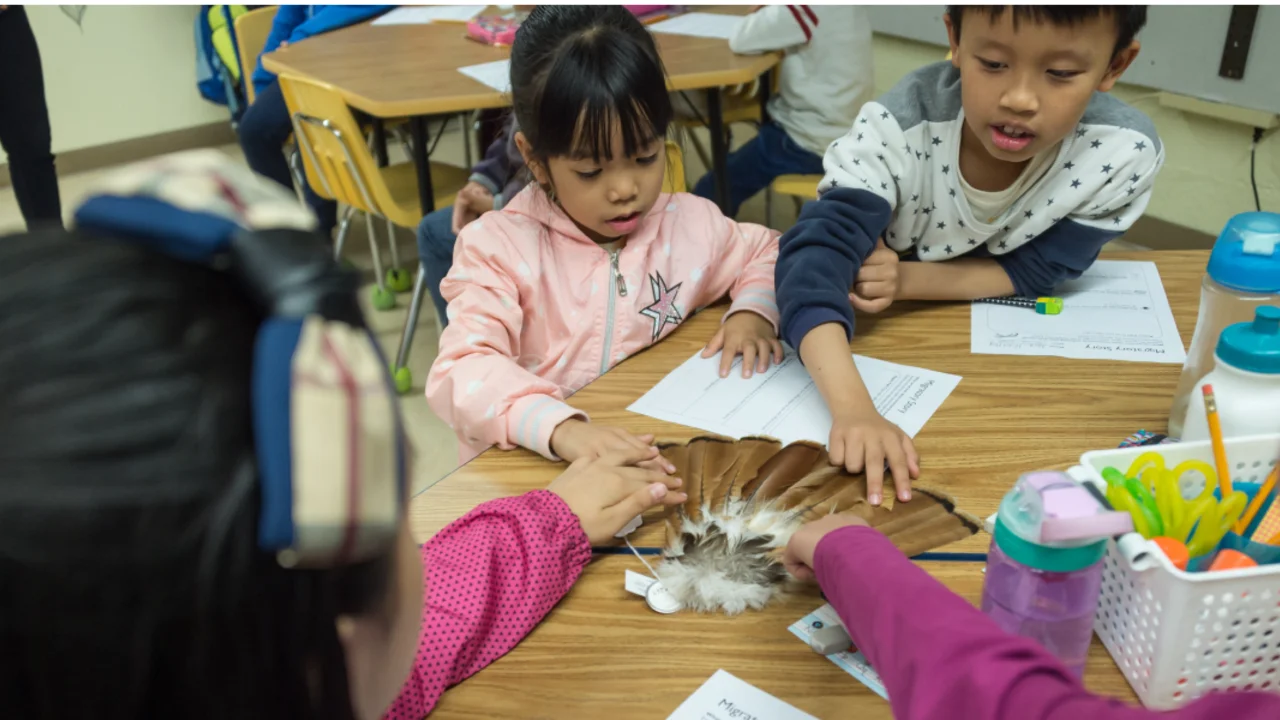 Students get up-close and personal with hawk feathers