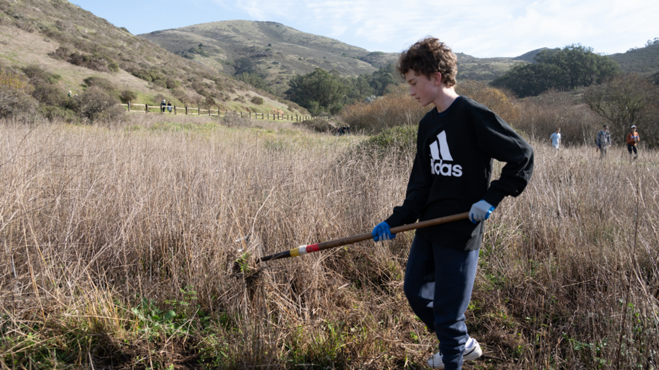 A volunteer using a garden tool to remove invasive plant species in Tennessee Valley