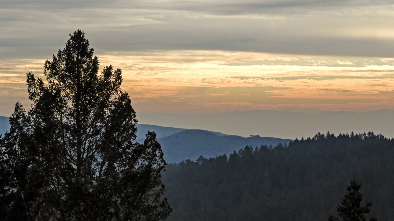 Views from Troop 80 Trail on Mt. Tam