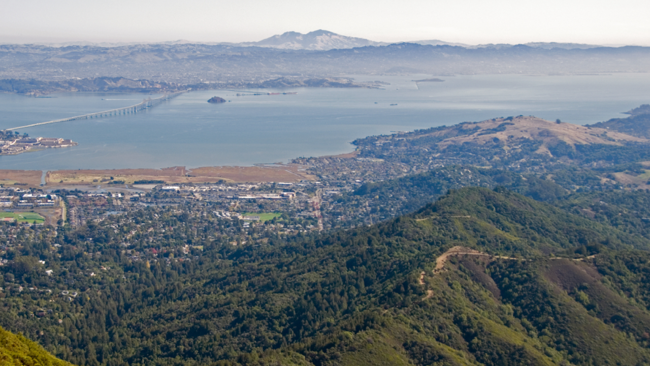 View of Verna Dunshee Trail along Mt. Tam