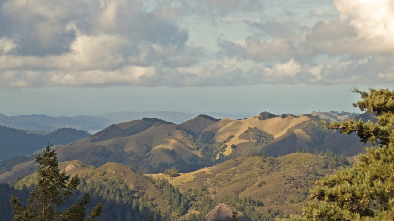 View from the Northside Trail on Mt. Tam