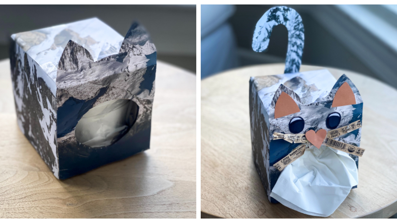 Tissue box with recycled paper covering its exterior and made to look like a bobcat in the Golden Gate National Recreation Area.