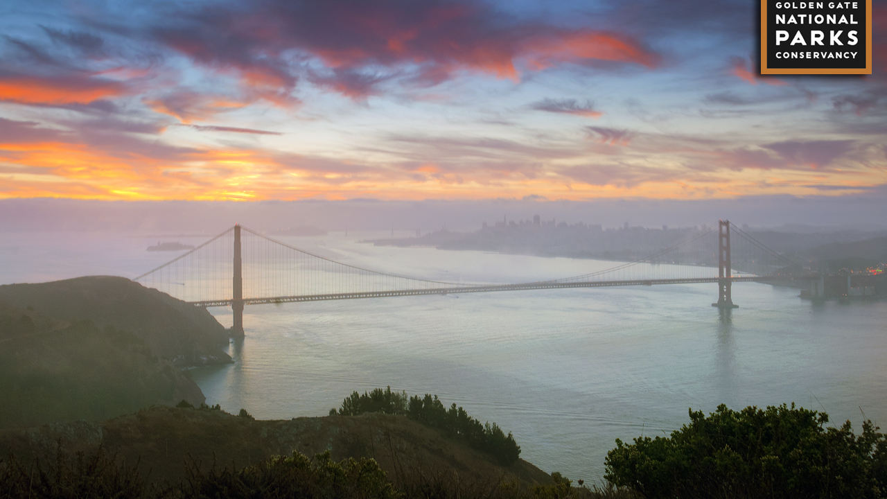 Desktop background: Golden Gate Bridge from Hawk Hill.