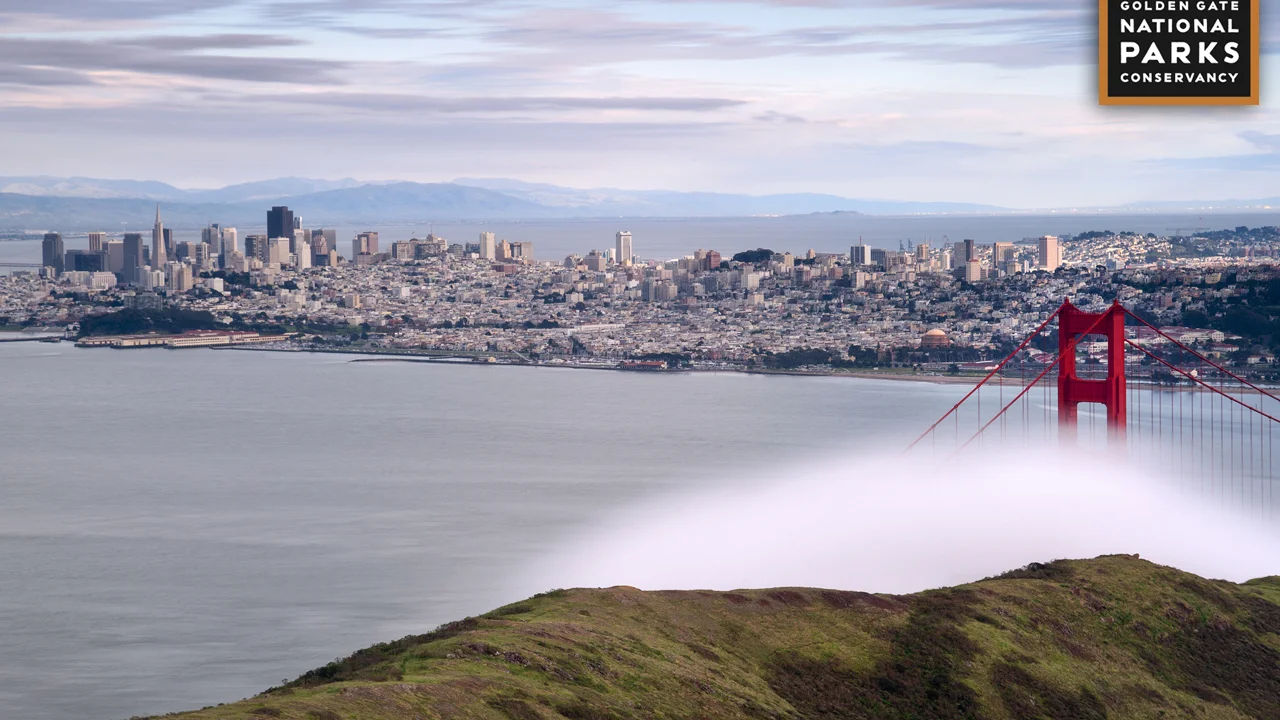 Desktop background: Golden Gate Bridge from Slacker Ridge