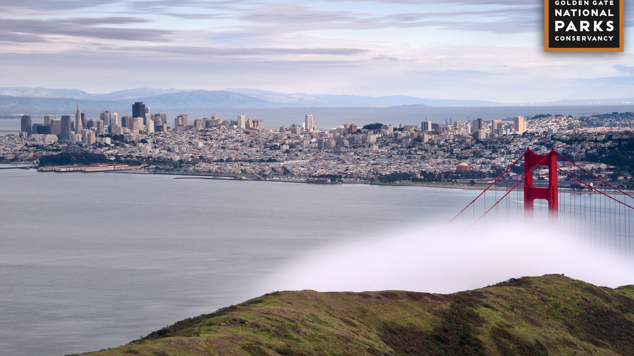 Desktop background: Golden Gate Bridge from Slacker Ridge