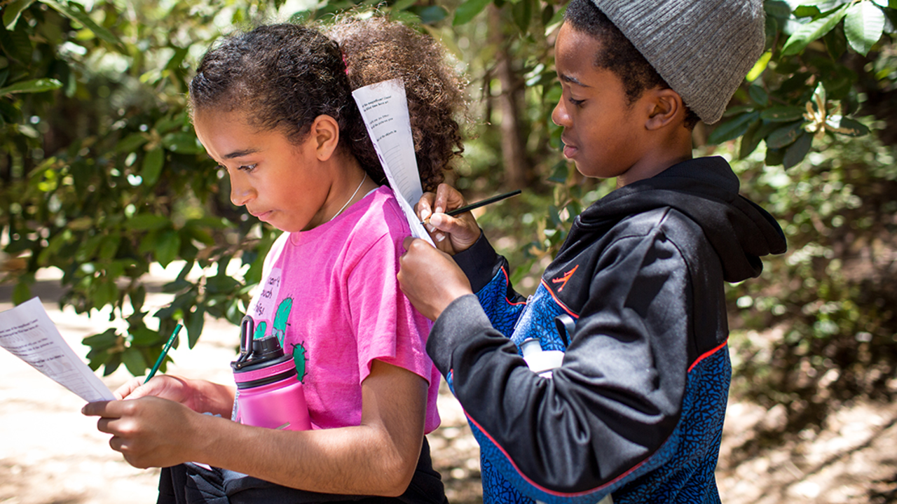Children take a nature quiz during their hike with Latino Outdoors to Muir Woods National Monument.