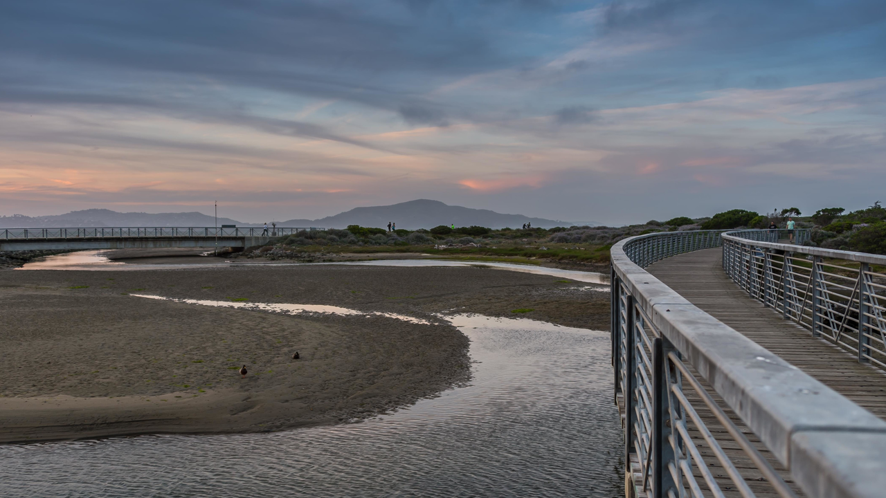 Bridge over the Crissy Field Marsh