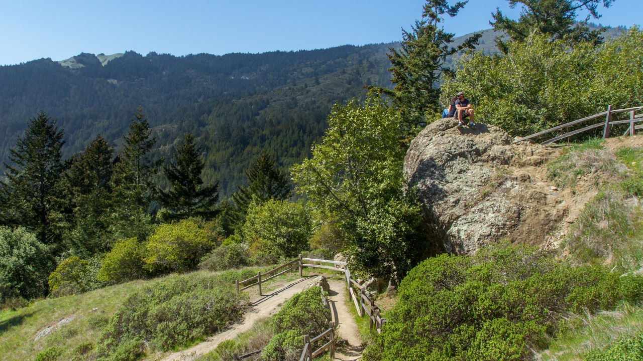 Panoramic Trail meets the Canopy View Trail at this rock Panoramic Trail meets the Canopy View Trail at this rock
