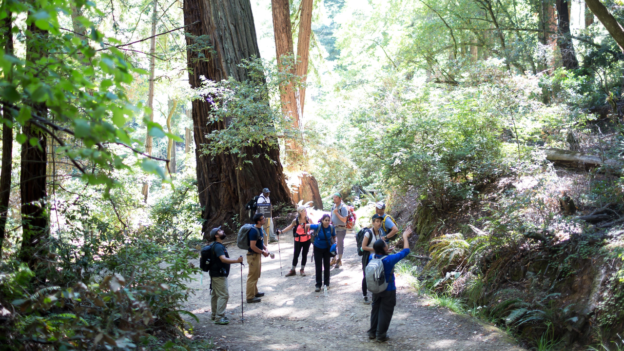 Hikers pause to enjoy the beauty of the Bootjack Trail
