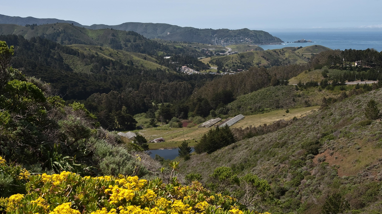 View toward the ocean from Sweeney Ridge