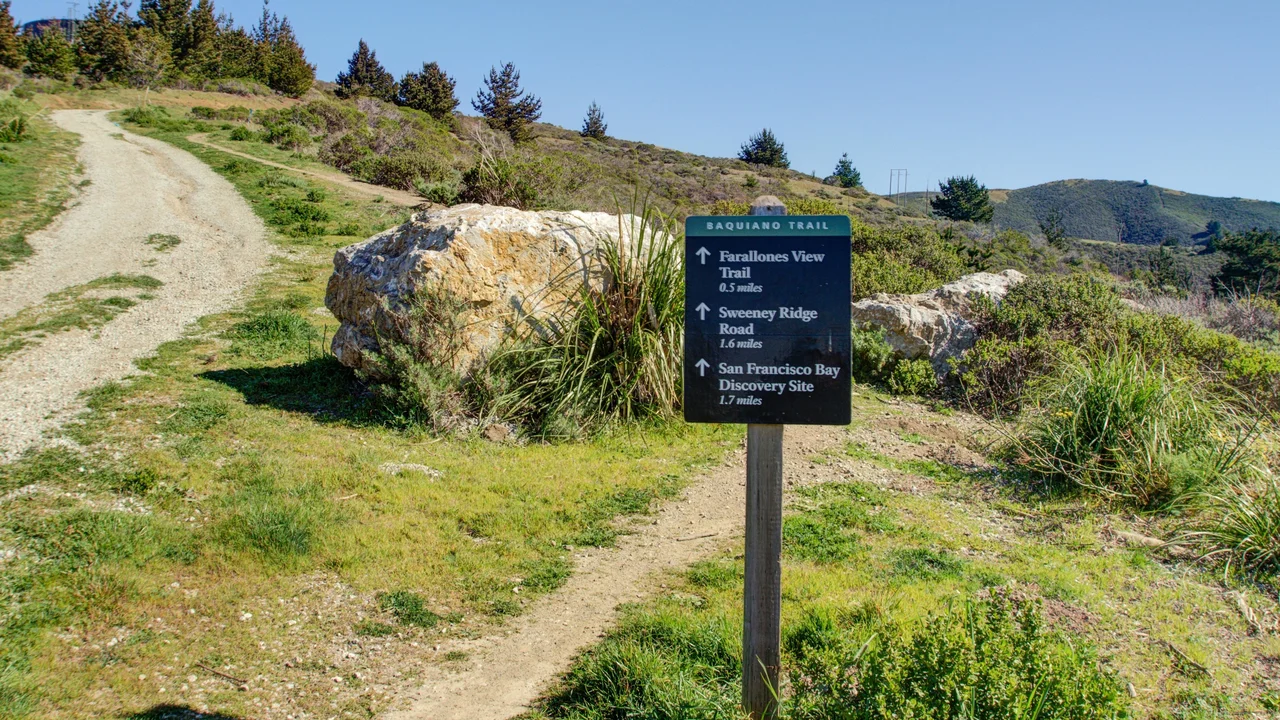 Baquiano Trail up Sweeney Ridge