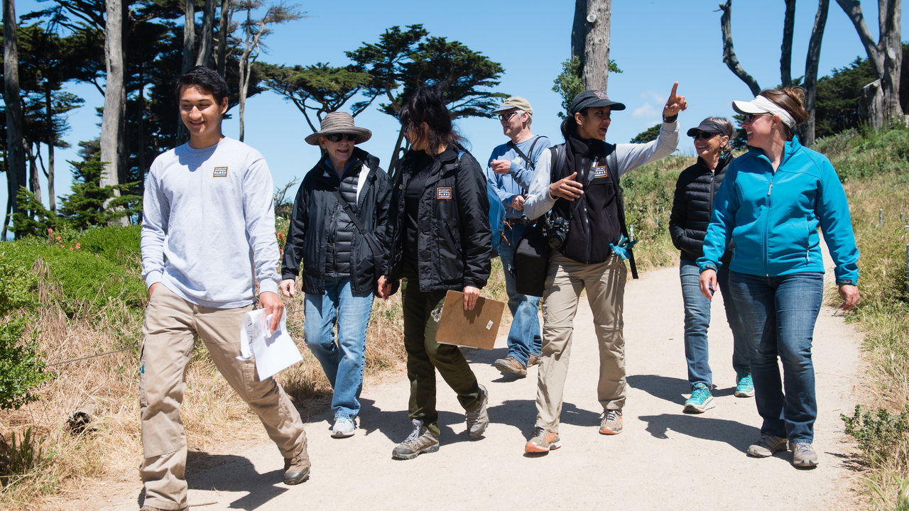 Parks Conservancy staff lead a wildflower walk at Lands End Parks Conservancy staff lead a wildflower walk at Lands End