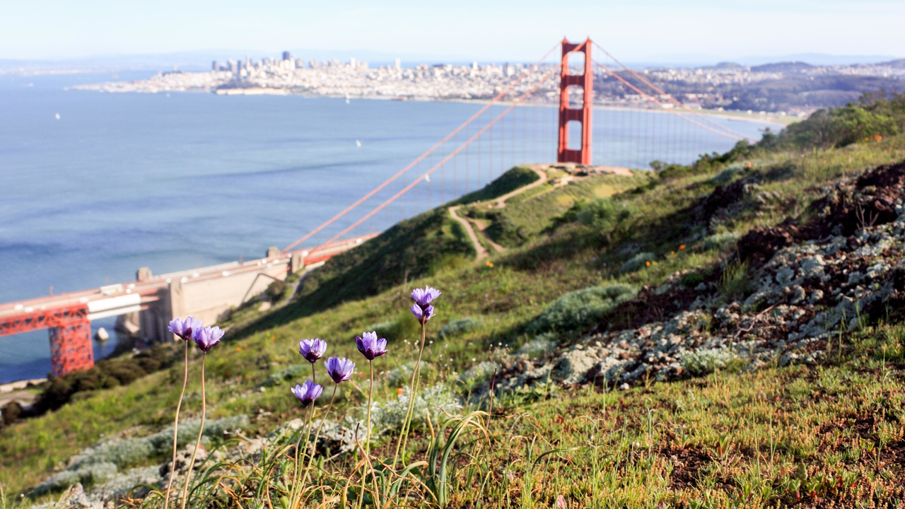 View of the Golden Gate from the Marin Headlands