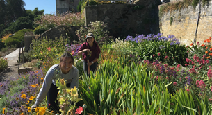 Alcatraz Historic Gardens Volunteers
