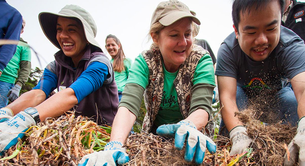 Removing ice plant at Fort Miley