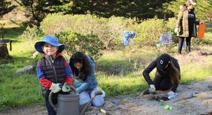 San Francisco Stewardship