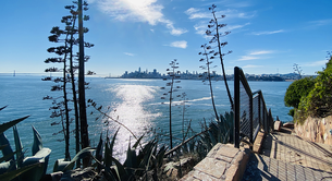 A staircase leads downward amid spiky agave plants at Alcatraz Island.