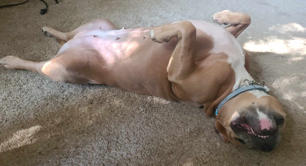 charlie