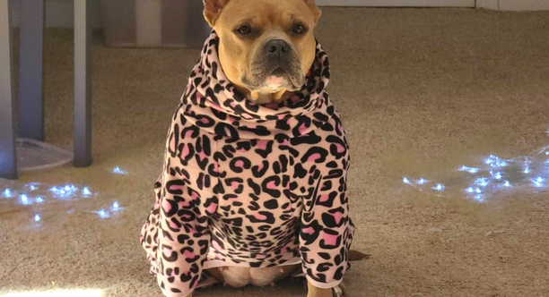 Onesie charlie