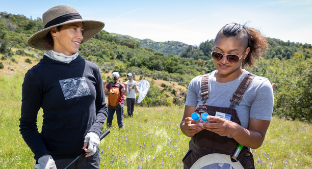 Two women carrying bug nets in a grassy field inspect specimen vials