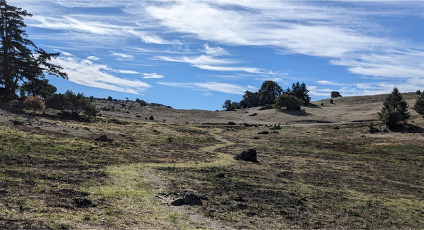 Rock Spring landscape