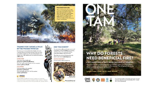 Pdf version of the forest walk