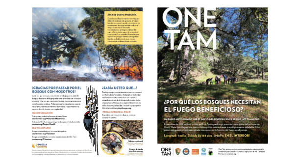 Pdf version of the forest walk