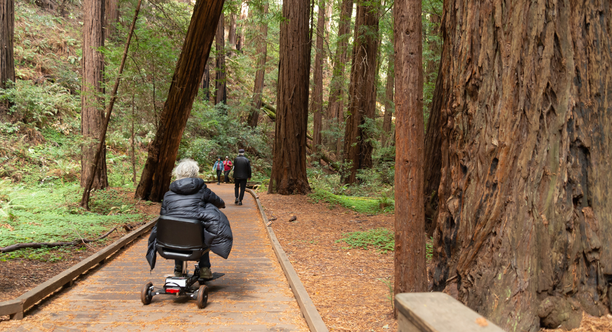 A Muir Woods visitor enjoying the accessibility or the wheelchair accessible boardwalk.