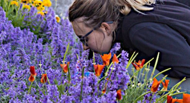 Smelling the flowers on Alcatraz