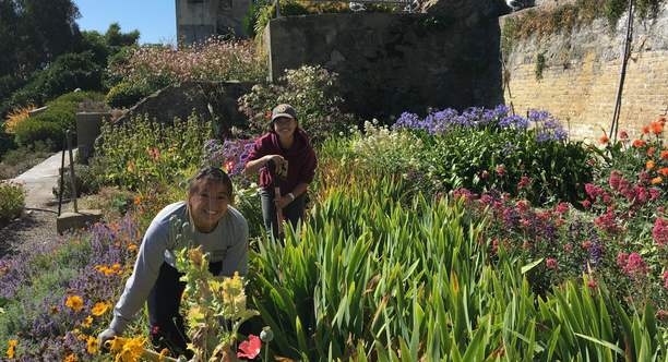 Alcatraz Historic Gardens Volunteers