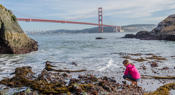 Someone tide-pooling in the Marin Headlands