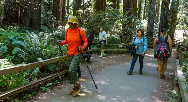 hiking at Muir Woods
