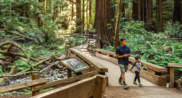 Two people walk across Bridge 2 at Muir Woods with greenery and redwood trees.