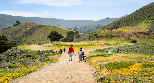 Scenic view of Mori Point Loop Trail, park visitors walk amongst wildflowers on a sunny day.