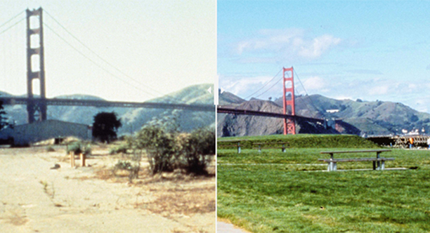 Before-and-after images crissy field