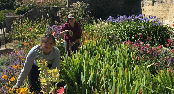 Alcatraz Historic Gardens Volunteers