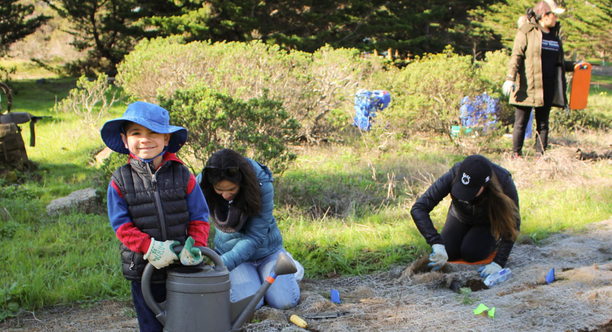 San Francisco Stewardship