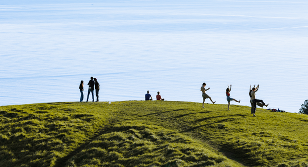Park goers on a grassy hill of Mount Tam, meditating, doing yoga, and looking out at the bright view.