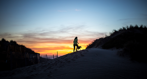 Ocean Beach at sunset