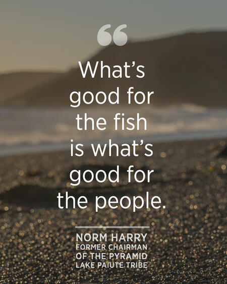 “What's good for the fish is what's good for the people.”  - Norm Harry