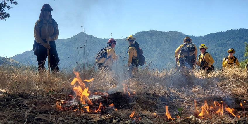 A prescribed burn near Bon Tempe Lake on Mt. Tamalpais. A prescribed burn near Bon Tempe Lake on Mt. Tamalpais.